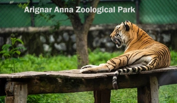 Arignar Anna Zoological Park