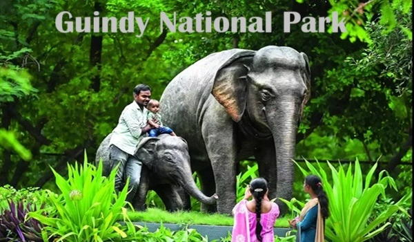 Guindy National Park